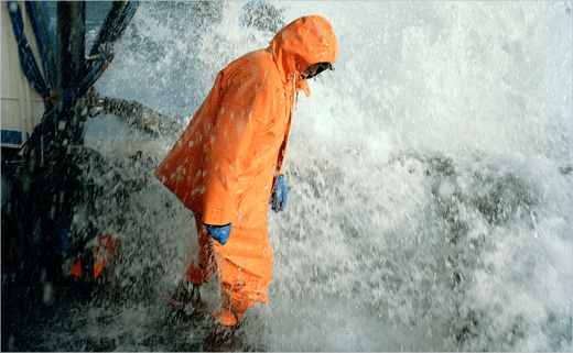 Ocean Trawlers 海鮮冷凍魚品牌logo設(shè)計(jì)與包裝設(shè)計(jì)