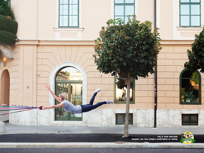 Villa Dog Pet Shop 遛狗牽引繩平面廣告之間，跑的快不如拉力強