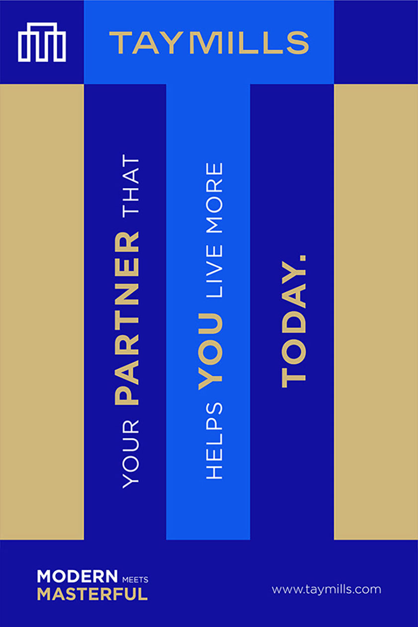 泰米爾斯房地產(chǎn)公司品牌vi設(shè)計視覺識別系統(tǒng)