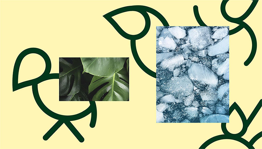 Handelens Milj?fond環(huán)境基金組織品牌形象設(shè)計