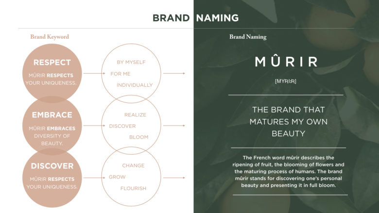 m?rir化妝品品牌vi視覺形象設(shè)計與包裝設(shè)計