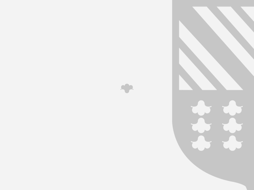 ELLAS珠寶品牌logo設計與品牌vi形象設計,三個花朵徽章 ELLAS珠寶品牌logo設計與品牌vi形象設計,三個花朵徽章