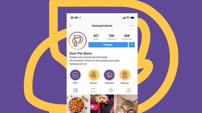 Dom Pet Store 寵物食品專賣店品牌logo設(shè)計vi設(shè)計，首字母+狗頭線條logo