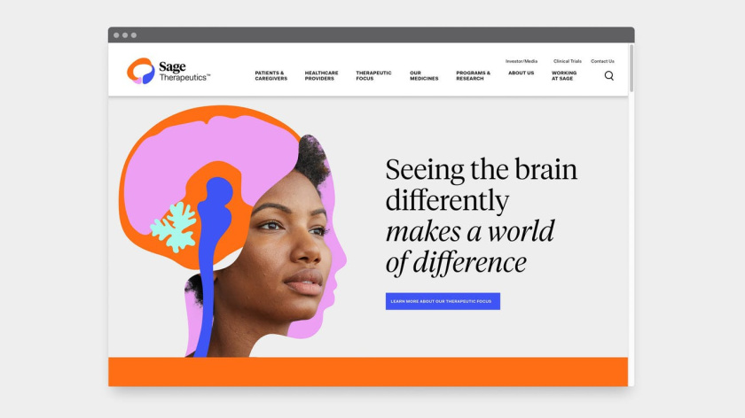 Sage 產(chǎn)后抑郁癥與腦部精神疾病醫(yī)藥品牌全案策劃設(shè)計(jì)，傳達(dá)積極樂觀形象