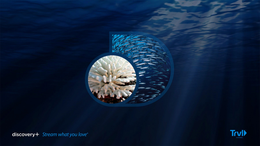 Discovery+探索電視節(jié)目頻道品牌logo設(shè)計(jì),光譜色幾何D和一個(gè)圓的結(jié)合 Discovery+探索電視節(jié)目頻道品牌logo設(shè)計(jì),光譜色幾何D和一個(gè)圓的結(jié)合