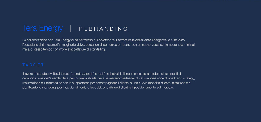 Tera Energy 能源咨詢公司logo設(shè)計vi設(shè)計，動態(tài)圓點科技風(fēng)格