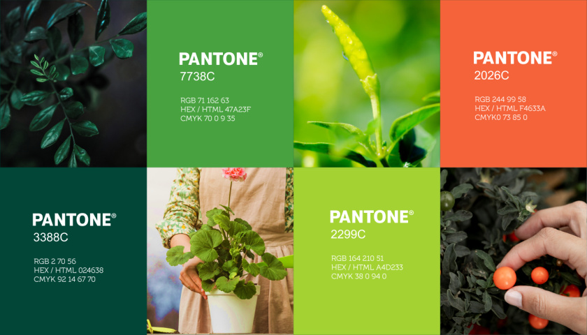 圣維德園藝鮮花綠植花園品牌形象vi視覺(jué)識(shí)別設(shè)計(jì)，多彩幾何圖形風(fēng)格