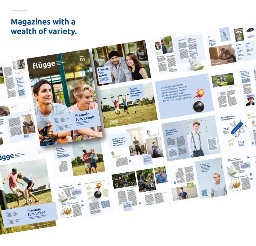 Bayern拜仁保險(xiǎn)公司vi設(shè)計(jì)與視覺識(shí)別系統(tǒng)，適合任何媒體的應(yīng)用系統(tǒng)