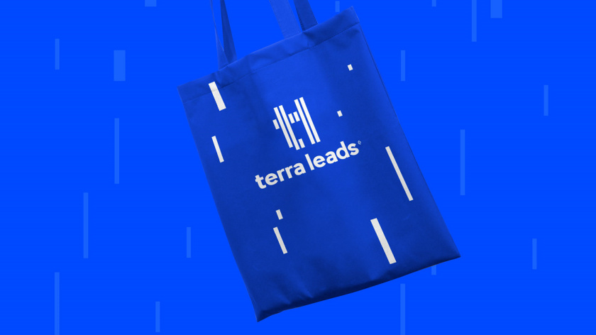 Terra Leads 注冊會計師互聯(lián)網(wǎng)平臺網(wǎng)站品牌形象logo設計vi設計-禮品袋子，變化的垂直線條