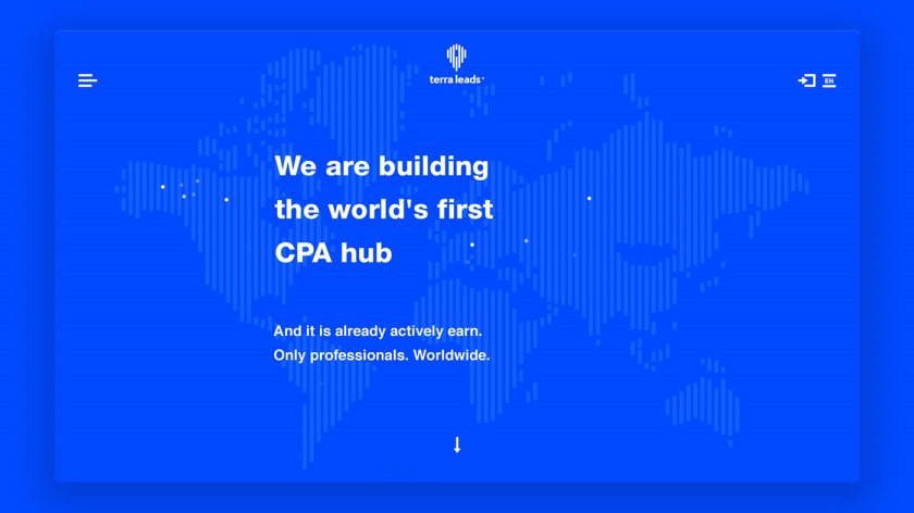 Terra Leads 注冊會計師互聯(lián)網(wǎng)平臺網(wǎng)站品牌形象vi設計網(wǎng)站設計，變化的垂直線條