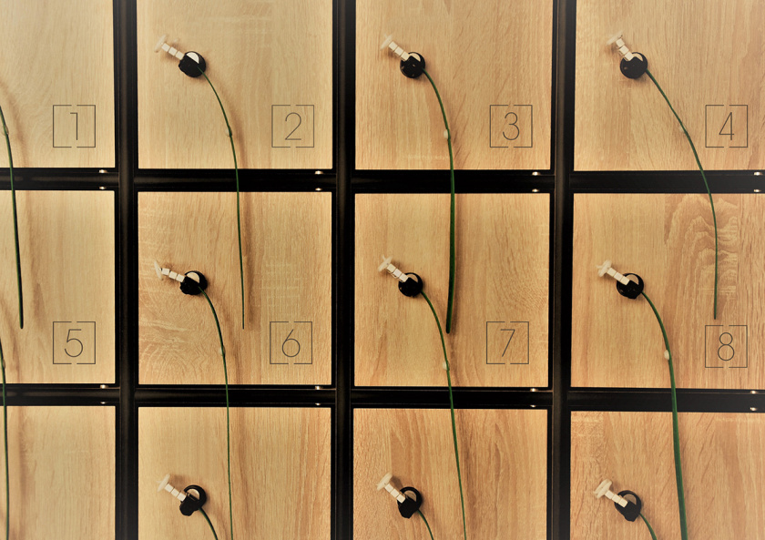 Place 67 共享辦公空間品牌形象vi設計logo設計-內部導視設計，辦公風格裝飾元素