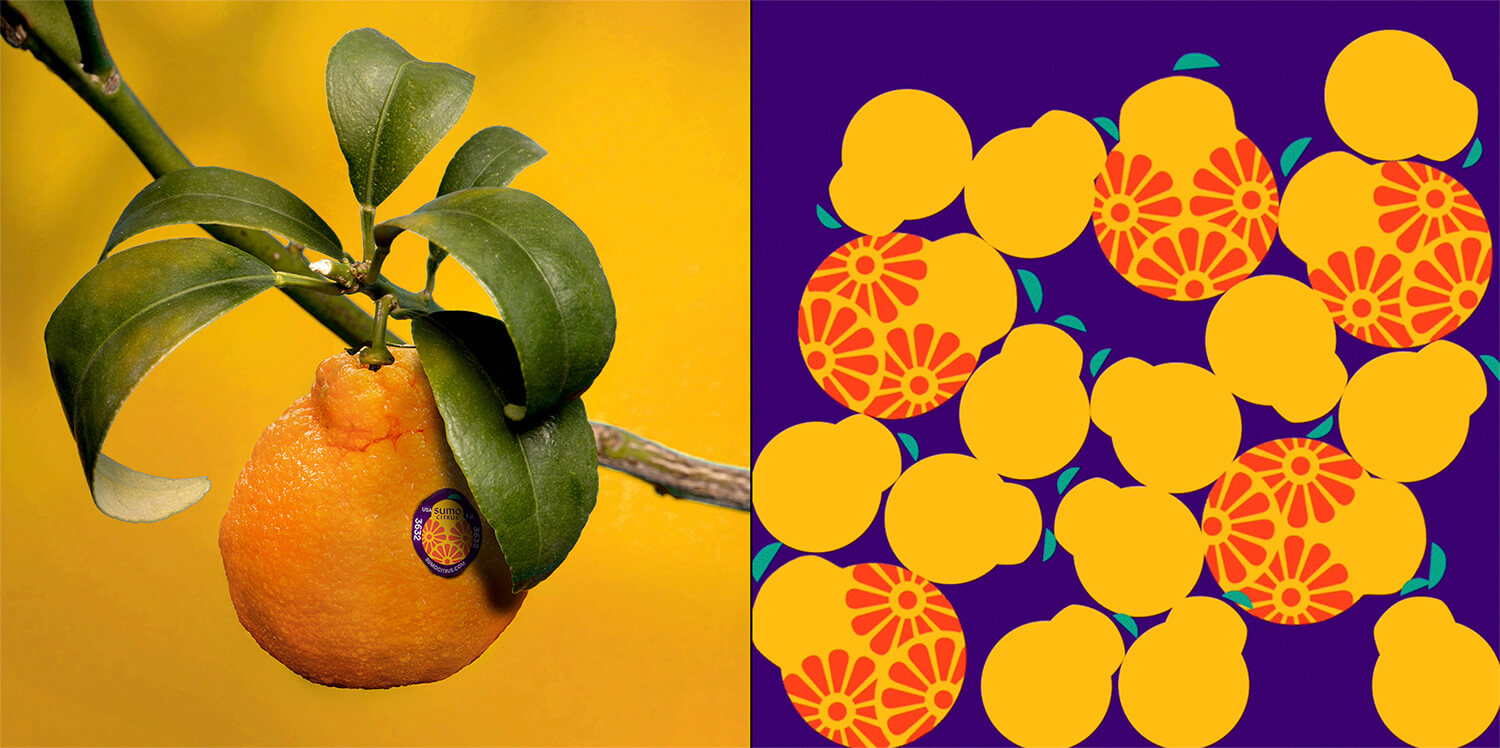 Sumo Citrus 橘子包裝箱設(shè)計(jì)靈感來自水果的獨(dú)特形狀和日式圖案