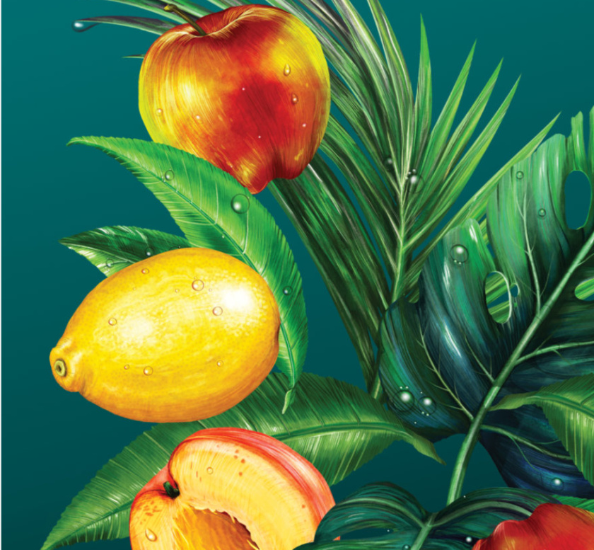 Wild Leaf 野葉硬茶水果混合茶飲飲料易拉罐包裝設(shè)計(jì),紅色熱帶雨林插畫風(fēng)格 Wild Leaf 野葉硬茶水果混合茶飲飲料易拉罐包裝設(shè)計(jì),紅色熱帶雨林插畫風(fēng)格