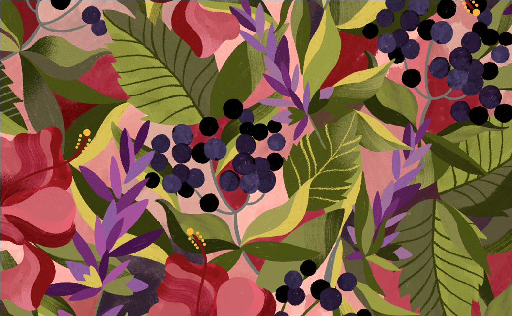 Kib''''天然保健花草茶茶葉包裝設(shè)計--手繪插畫設(shè)計