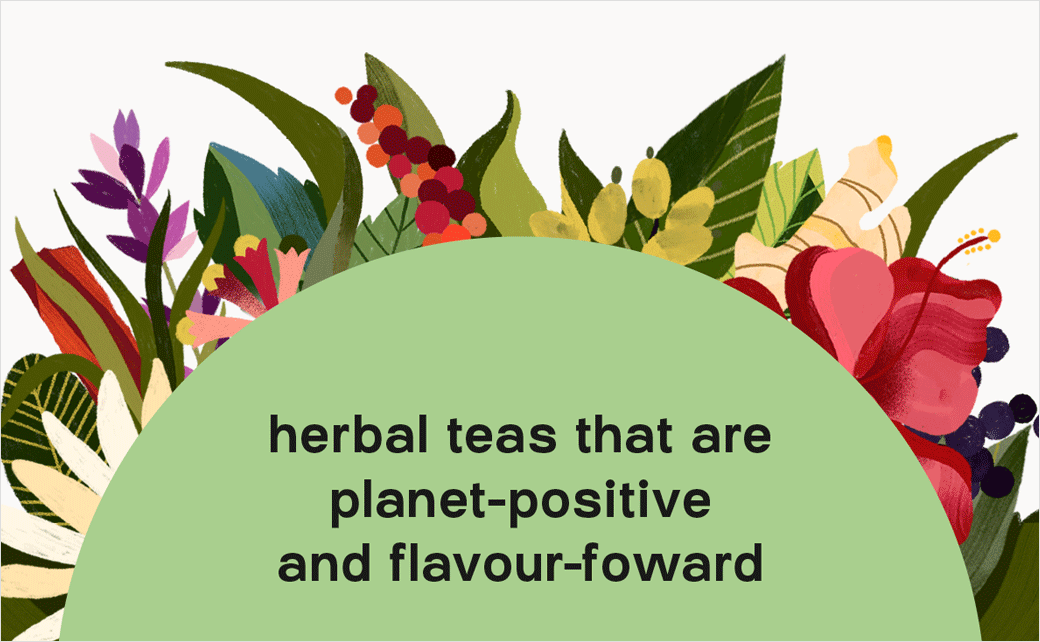 Kib''''天然保健花草茶茶葉包裝設(shè)計--手繪插畫設(shè)計