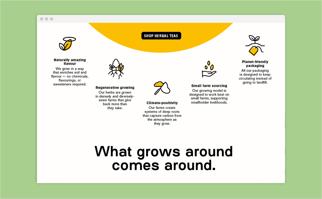 Kib天然保健花草茶茶葉品牌設(shè)計-網(wǎng)站界面設(shè)計