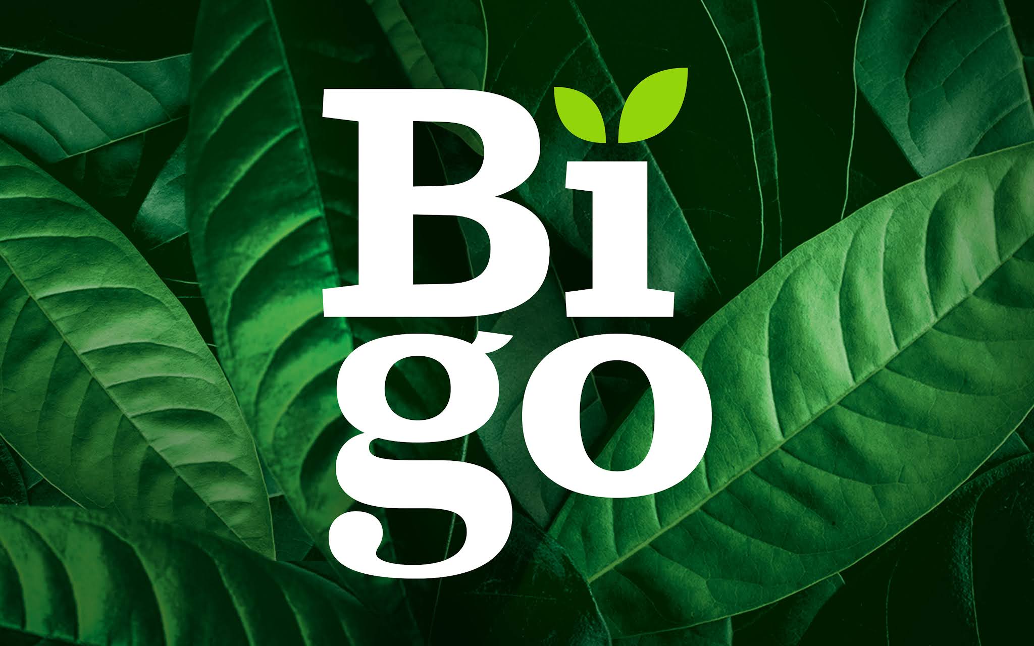 Bigo純天然功能飲料包裝設(shè)計”活力綠色白色“版式 Bigo純天然功能飲料包裝設(shè)計”活力綠色白色“版式