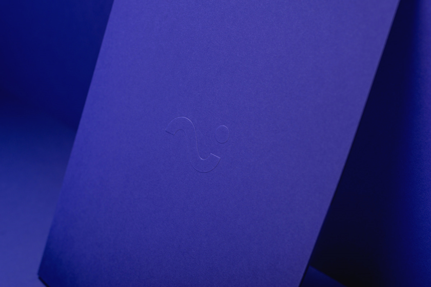 Sambrinvest 金融集團(tuán)公司logo設(shè)計(jì)品牌形象vi設(shè)計(jì)，單色簡約而又藝術(shù)的風(fēng)格