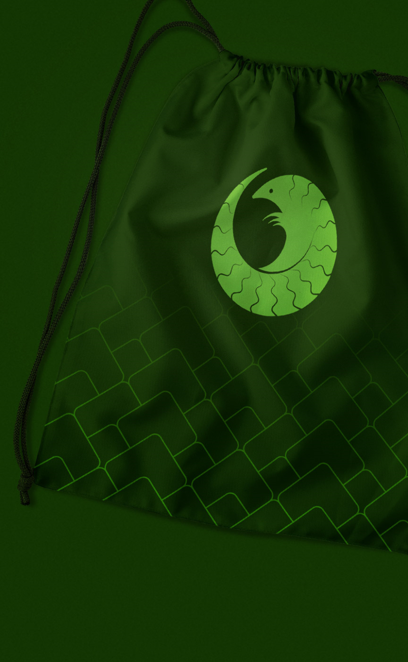 穿山甲危機(jī)基金logo設(shè)計(jì)vi設(shè)計(jì)輔助圖形設(shè)計(jì)