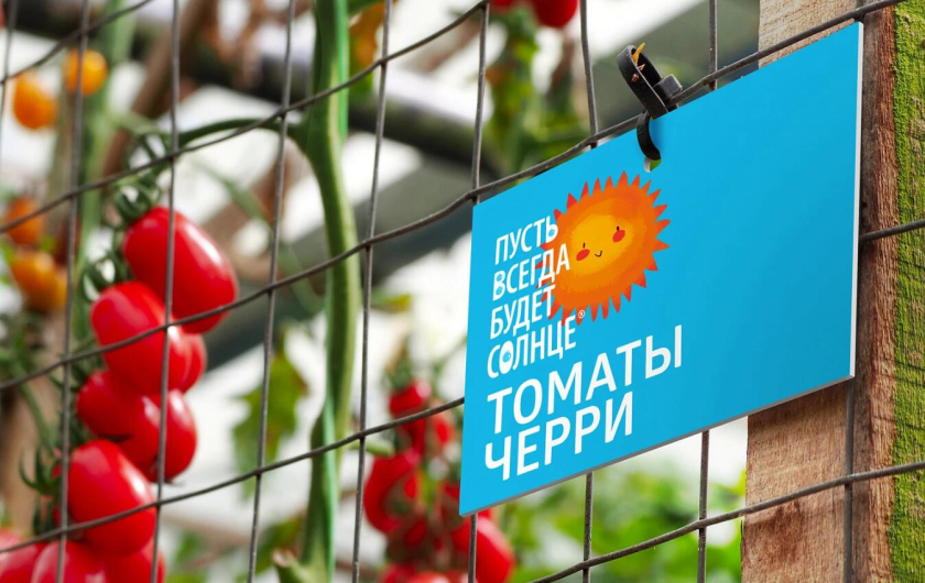 “永遠的陽光”西紅柿小番茄農(nóng)產(chǎn)品品牌創(chuàng)建策劃設(shè)計-logo包裝設(shè)計