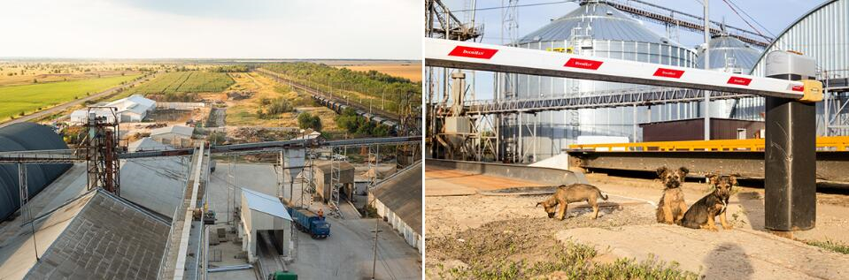 Zerno 農(nóng)業(yè)公司自傳書籍編輯畫冊(cè)設(shè)計(jì)