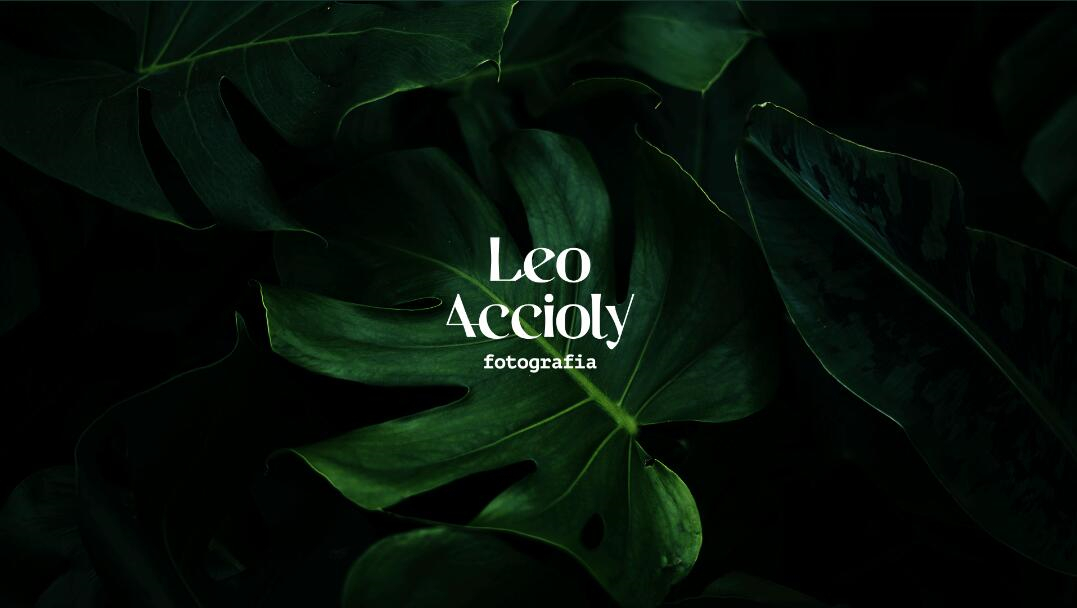 Leo Accioly 高質(zhì)量攝影公司品牌識(shí)別設(shè)計(jì) Leo Accioly 高質(zhì)量攝影公司品牌識(shí)別設(shè)計(jì)