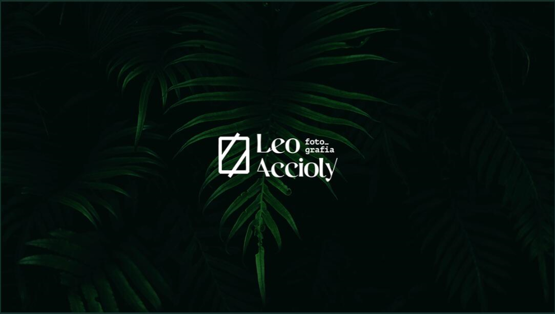 Leo Accioly 高質(zhì)量攝影公司品牌識(shí)別設(shè)計(jì)logo設(shè)計(jì) Leo Accioly 高質(zhì)量攝影公司品牌識(shí)別設(shè)計(jì)logo設(shè)計(jì)