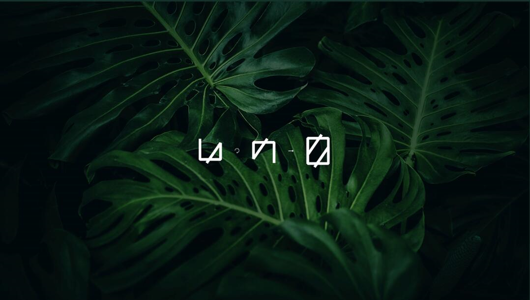 Leo Accioly 高質(zhì)量攝影公司品牌識(shí)別設(shè)計(jì)logo設(shè)計(jì) Leo Accioly 高質(zhì)量攝影公司品牌識(shí)別設(shè)計(jì)logo設(shè)計(jì)