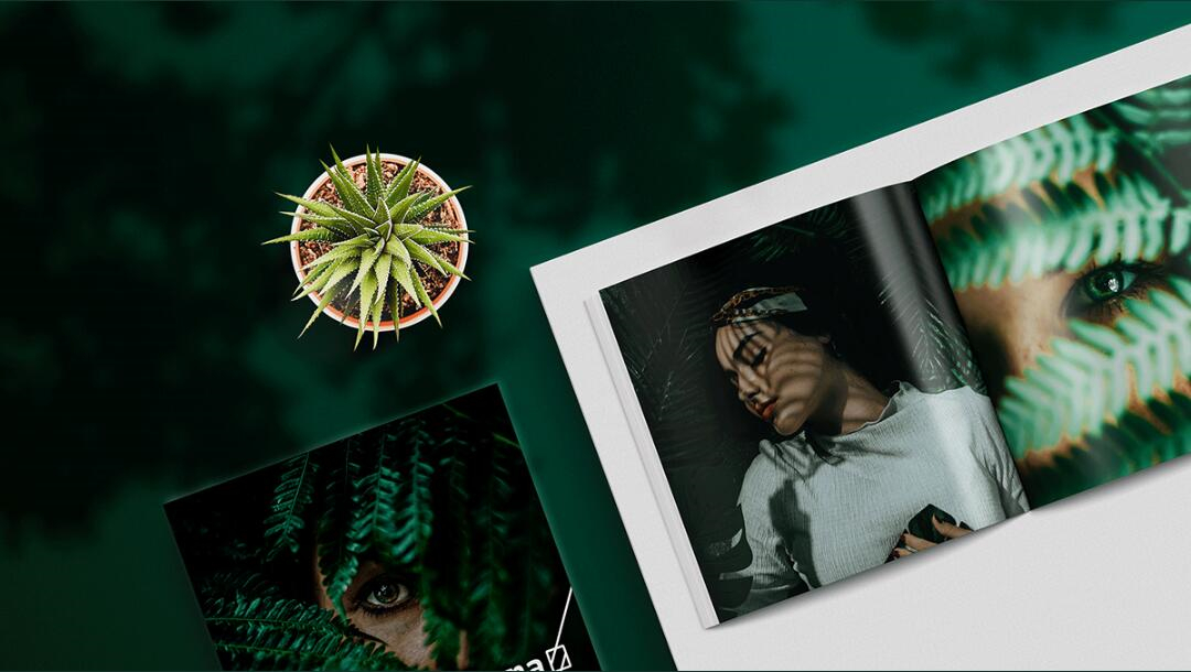 Leo Accioly 高質(zhì)量攝影公司品牌識(shí)別設(shè)計(jì) Leo Accioly 高質(zhì)量攝影公司品牌識(shí)別設(shè)計(jì)