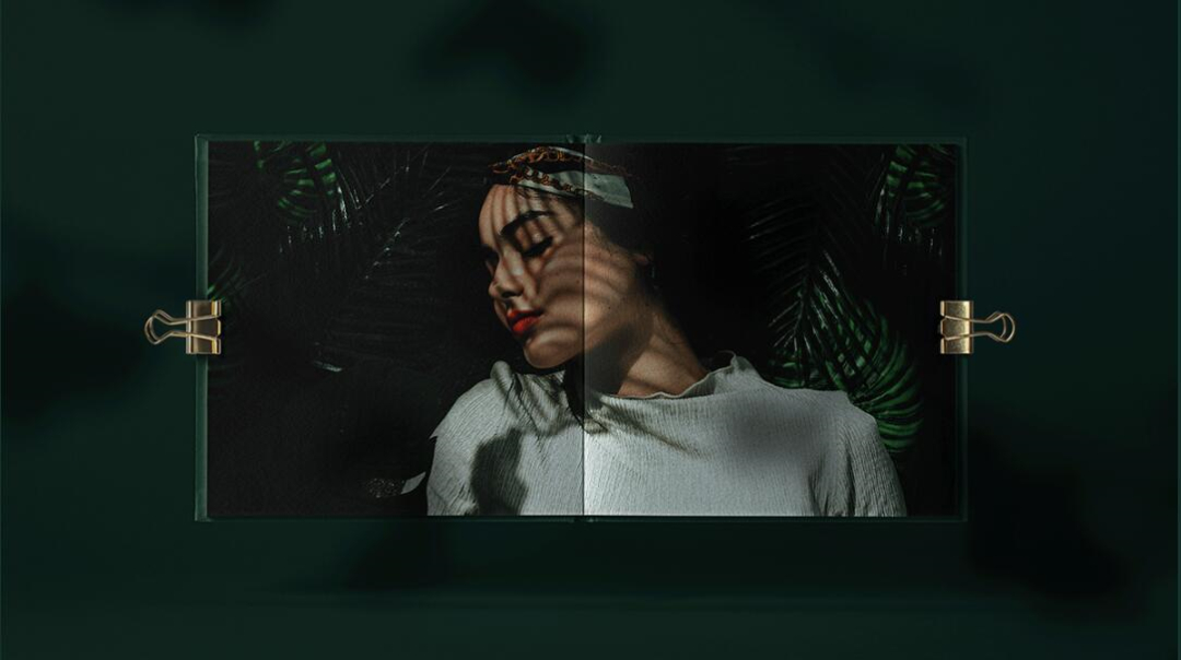 Leo Accioly 高質(zhì)量攝影公司品牌識(shí)別設(shè)計(jì) Leo Accioly 高質(zhì)量攝影公司品牌識(shí)別設(shè)計(jì)