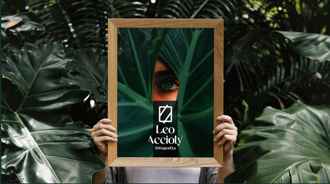 Leo Accioly 高質(zhì)量攝影公司品牌識(shí)別設(shè)計(jì) Leo Accioly 高質(zhì)量攝影公司品牌識(shí)別設(shè)計(jì)