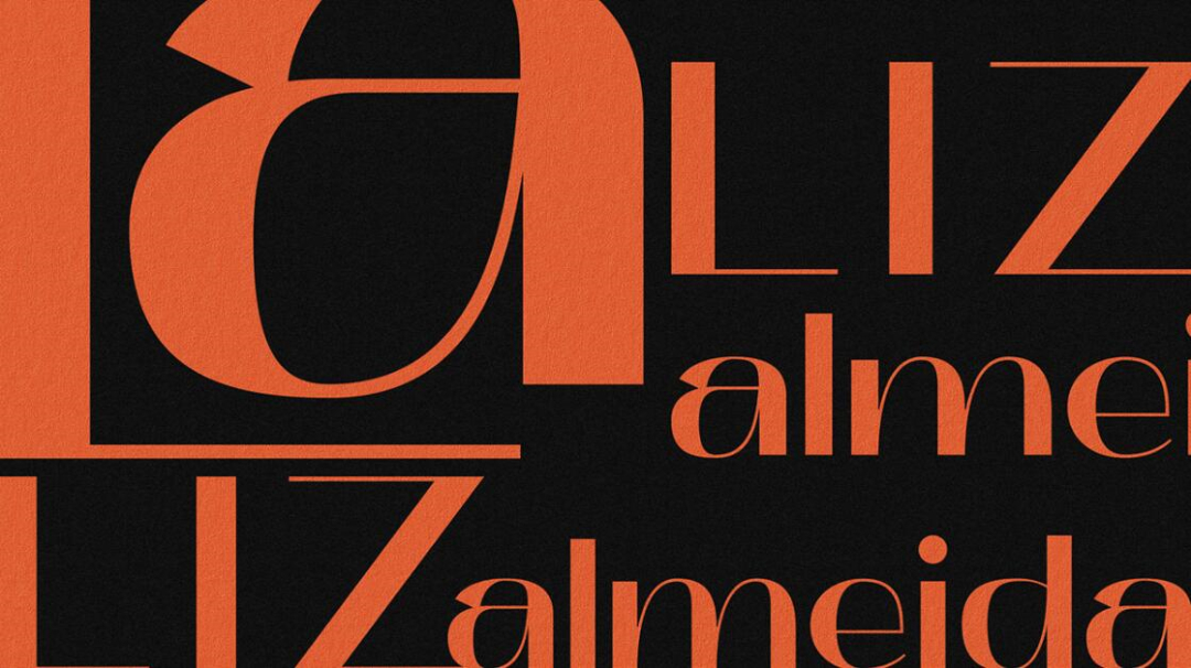 個性與時尚的Liz Almeida服裝品牌vi設(shè)計，以“雜亂而有序排列的線元素為輔助識別