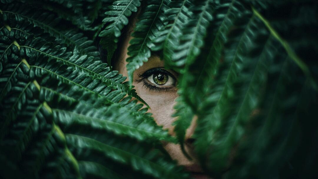 Leo Accioly 高質(zhì)量攝影公司品牌識(shí)別設(shè)計(jì) Leo Accioly 高質(zhì)量攝影公司品牌識(shí)別設(shè)計(jì)