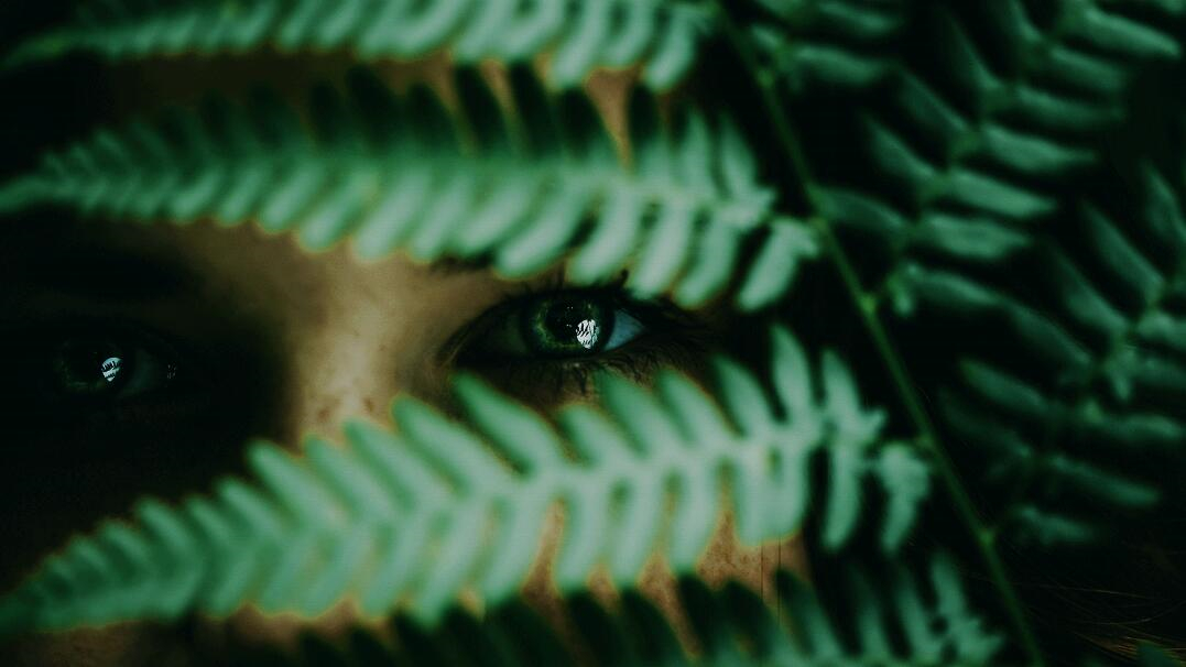 Leo Accioly 高質(zhì)量攝影公司品牌識(shí)別設(shè)計(jì) Leo Accioly 高質(zhì)量攝影公司品牌識(shí)別設(shè)計(jì)