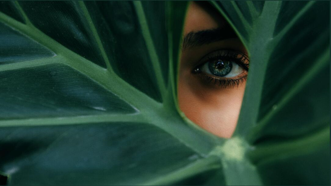 Leo Accioly 高質(zhì)量攝影公司品牌識(shí)別設(shè)計(jì) Leo Accioly 高質(zhì)量攝影公司品牌識(shí)別設(shè)計(jì)