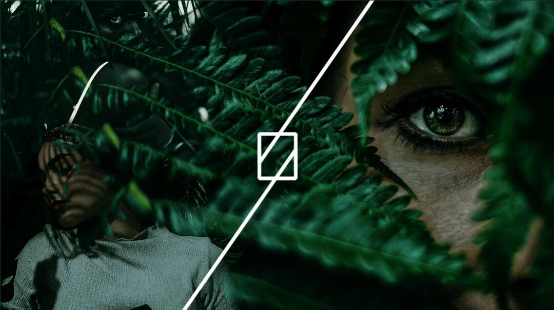 Leo Accioly 高質(zhì)量攝影公司品牌識(shí)別設(shè)計(jì)logo設(shè)計(jì) Leo Accioly 高質(zhì)量攝影公司品牌識(shí)別設(shè)計(jì)logo設(shè)計(jì)