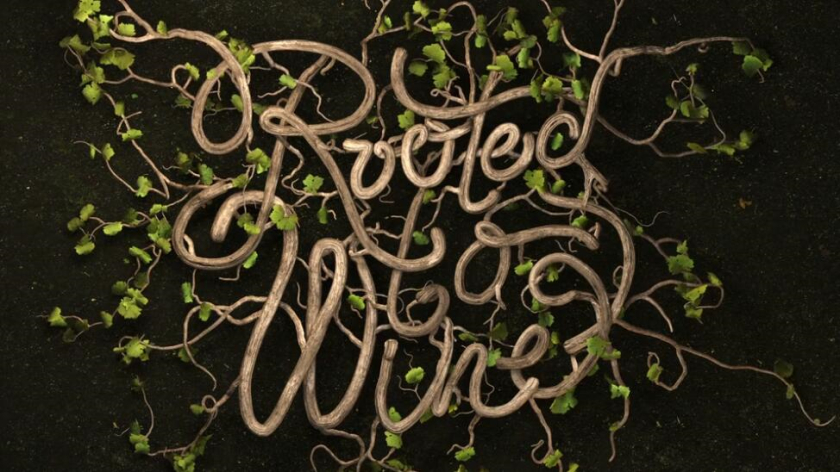 Roots 烏克蘭進(jìn)口葡萄酒公司vi設(shè)計，梯田線條元素