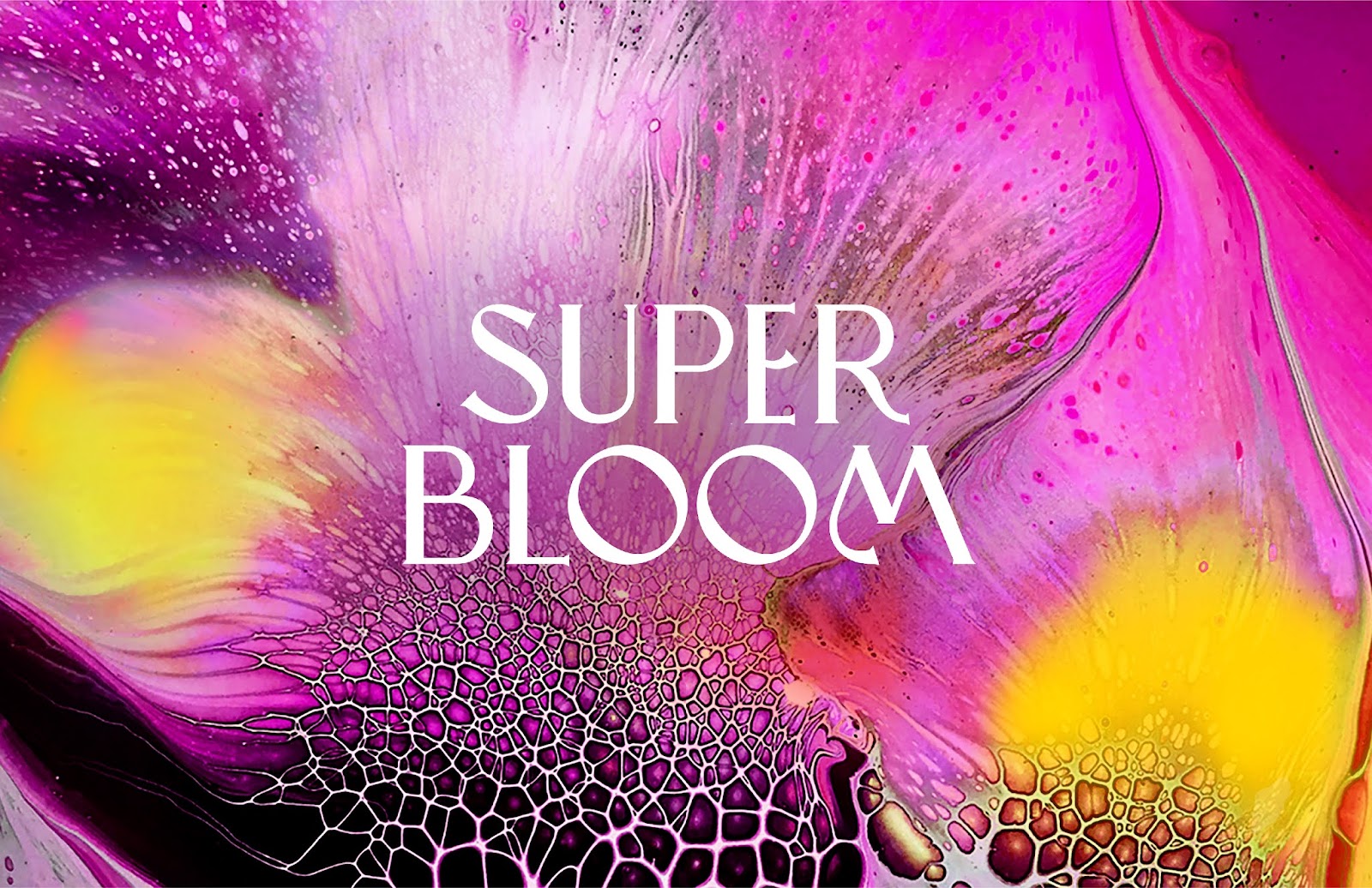 Superbloom 純植物素化妝品包裝設計，漸變水彩綻放女性美麗