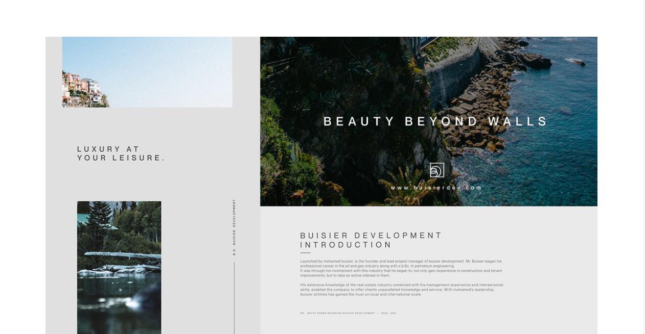 Buisier 別墅地產(chǎn)項(xiàng)目logo設(shè)計(jì)vi形象設(shè)計(jì)，B+D字母+方框