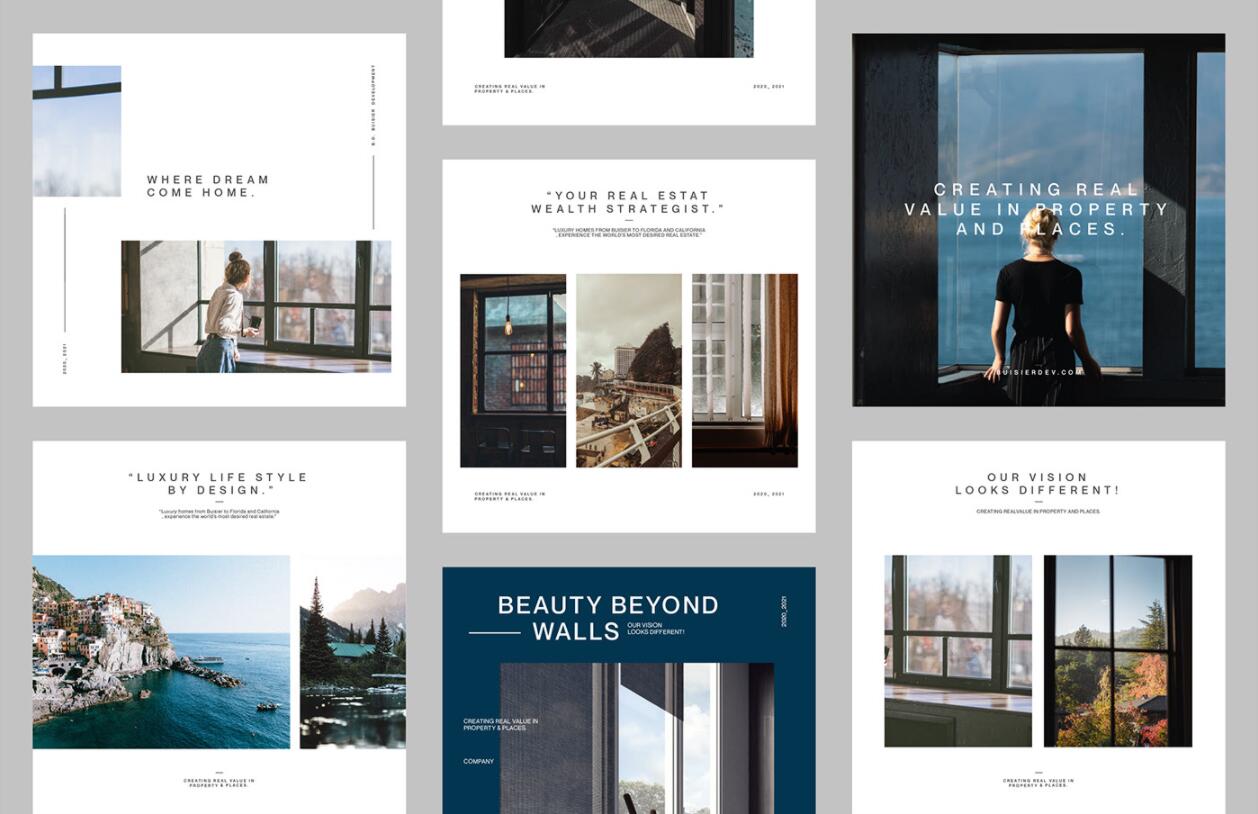 Buisier 別墅地產(chǎn)項(xiàng)目logo設(shè)計(jì)vi形象設(shè)計(jì)，B+D字母+方框