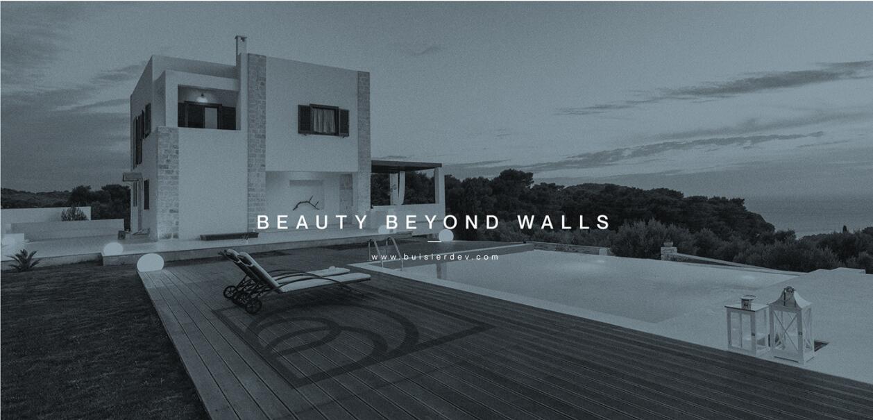 Buisier 別墅地產(chǎn)項(xiàng)目logo設(shè)計(jì)vi形象設(shè)計(jì)，B+D字母+方框