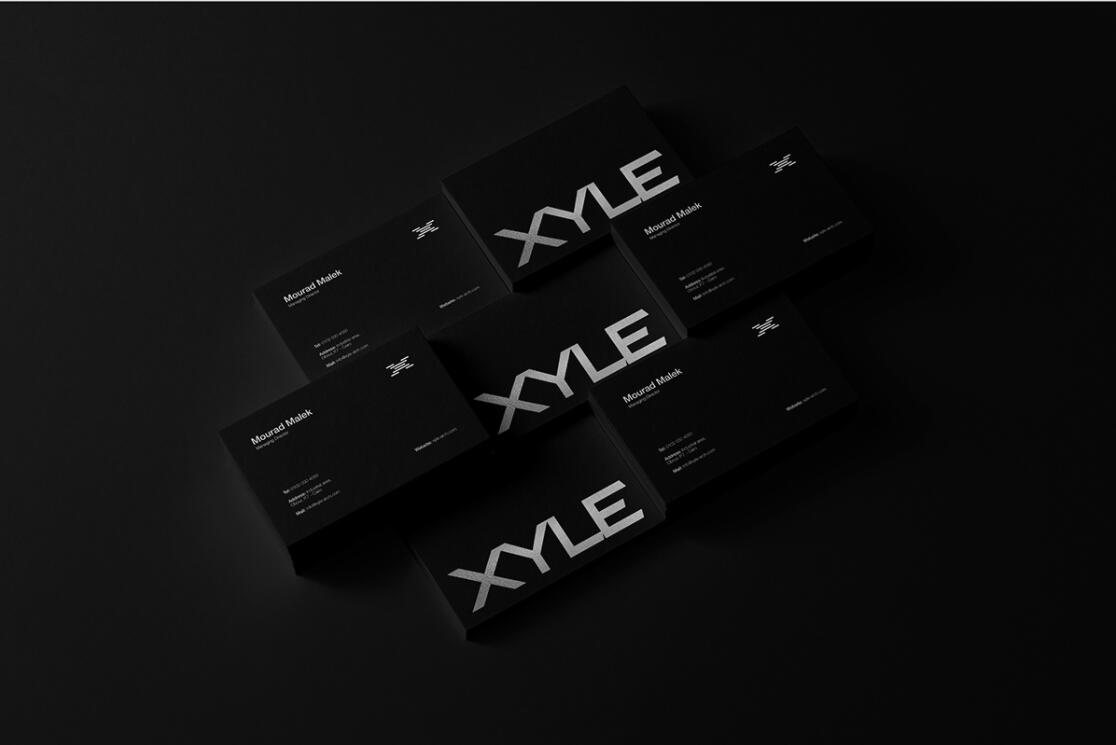 Xyle建筑設(shè)計(jì)公司logo設(shè)計(jì)品牌形象vis設(shè)計(jì)，x磚塊logo與超酷黑白漸變vi風(fēng)
