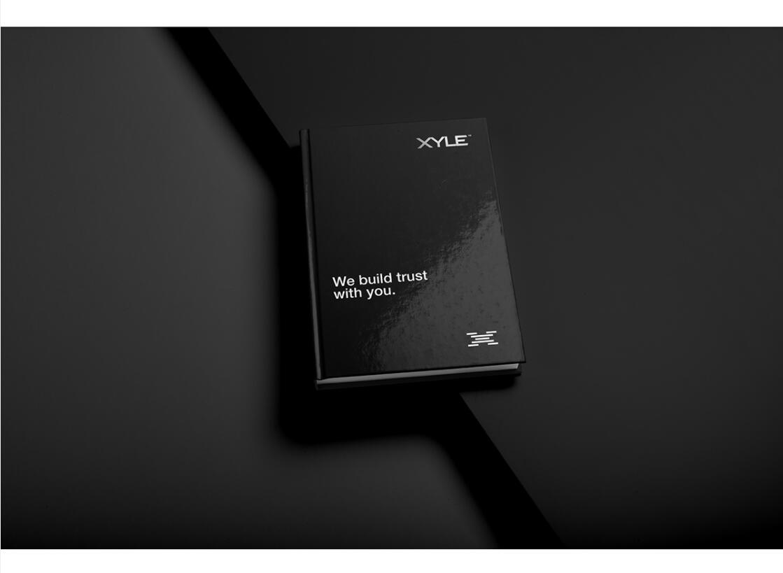 Xyle建筑設(shè)計(jì)公司logo設(shè)計(jì)品牌形象vis設(shè)計(jì)，x磚塊logo與超酷黑白漸變vi風(fēng)