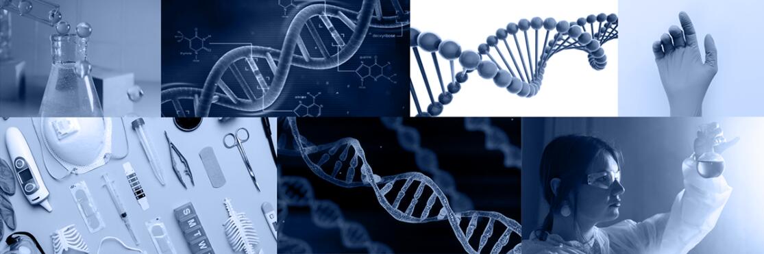 Aldora 醫(yī)療用品公司logo設計vi設計，基因重疊+字母A