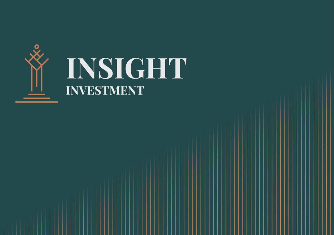 Insight 金融投資公司logo設(shè)計vis設(shè)計，基石與增長線條元素