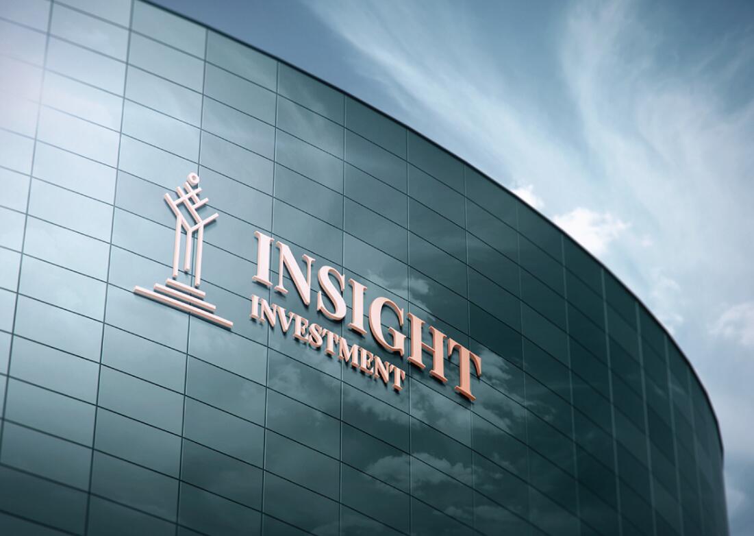 Insight 金融投資公司logo設(shè)計(jì)vis設(shè)計(jì)，基石與增長(zhǎng)線條元素
