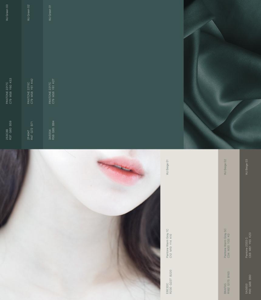 wonjin韓國(guó)醫(yī)療美容整形機(jī)構(gòu)整套vi設(shè)計(jì)，低調(diào)暗綠色風(fēng)格