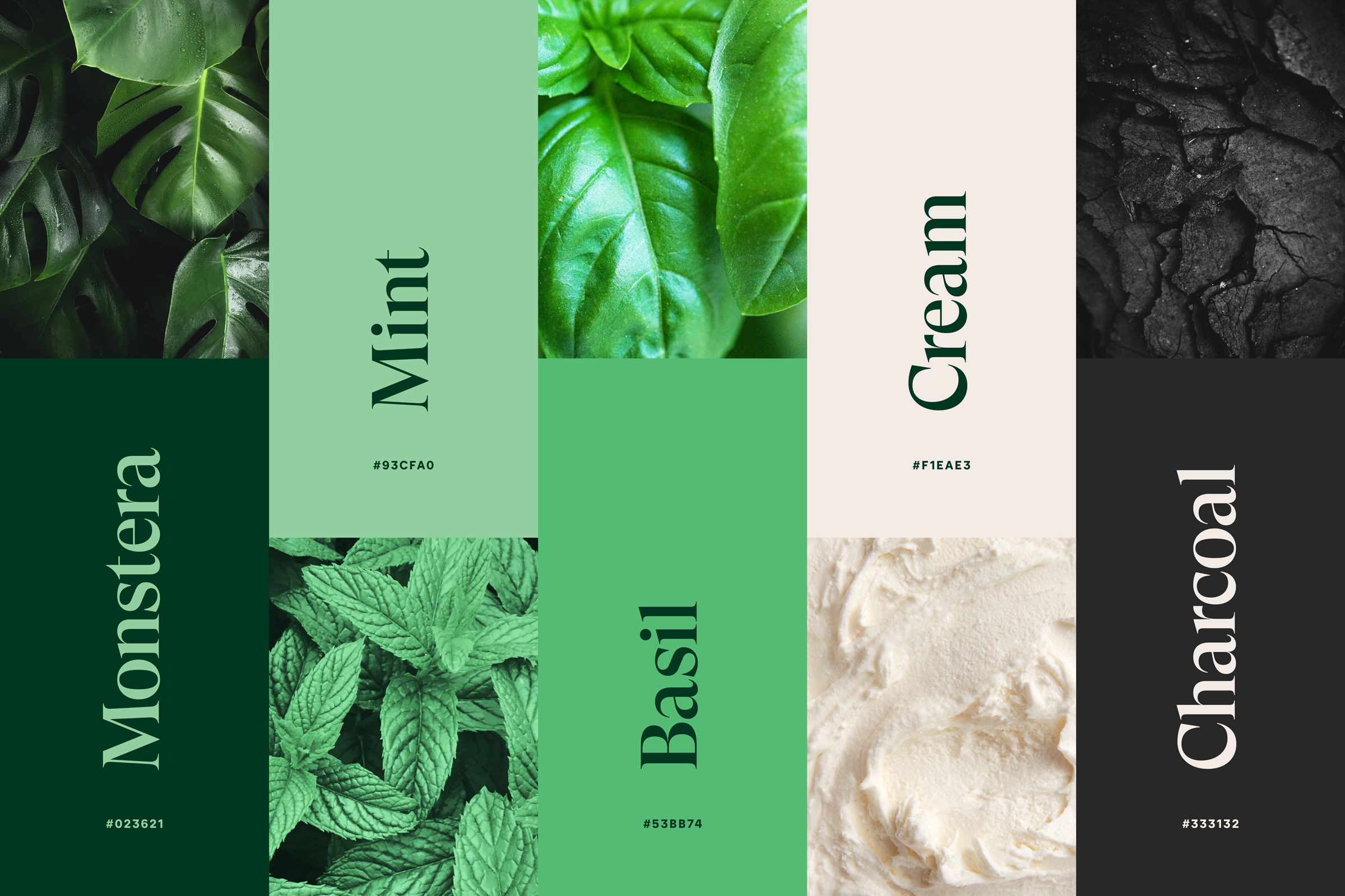 CNH全天然清潔公司logo設(shè)計“綠色花朵”元素