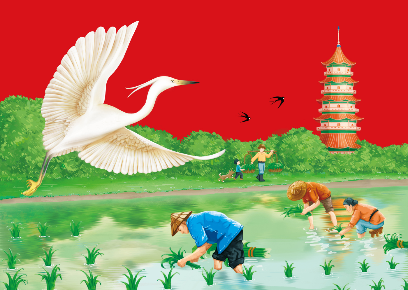 “有水有田”江蘇東臺大米品牌起名與包裝設(shè)計