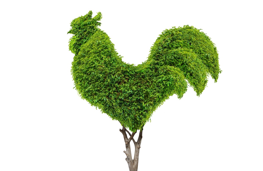 Greenwise 高植物蛋白素食肉食品包裝設(shè)計(jì)，植物建模動(dòng)物圖案